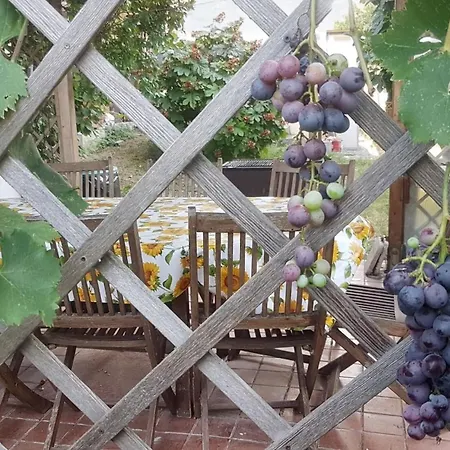 Charming In With Garden 75 M² San Mauro Pascoli