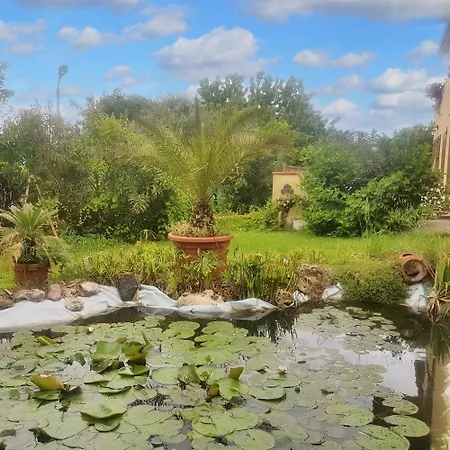 Charming In With Garden 75 M² San Mauro Pascoli