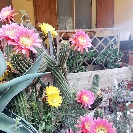 Charming In With Garden 75 M² *