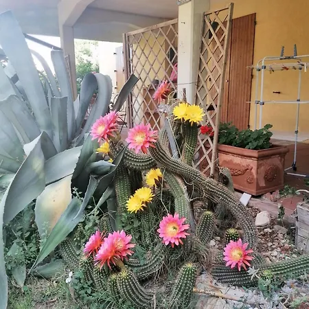 Apartment Charming In With Garden 75 M² *